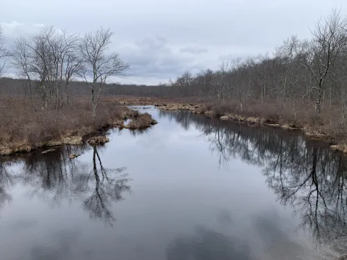 Best Hikes and Trails in Tobyhanna State Park | AllTrails