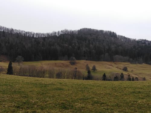 MTB: Balingen - Irrenberg - Wannental