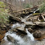 Wesser Creek Trail, North Carolina 246 Reviews, Map AllTrails