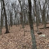 Raven Rocks via Appalachian Trail, Virginia - 5,759 Reviews, Map ...