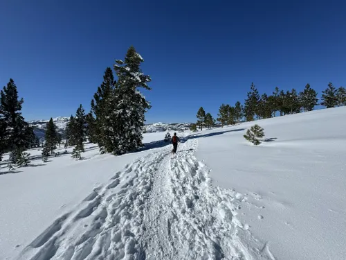 Best Lake Trails in Tahoe Donner Trail System | AllTrails