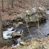 Black River Trail Loop, New Jersey - 2,581 Reviews, Map | AllTrails