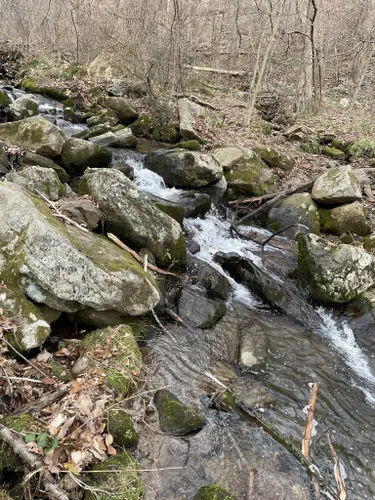 Best Hikes and Trails in Texter Mountain Nature Preserve | AllTrails