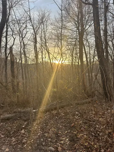 Best Forest Trails In G Richard Thompson Wildlife Management Area Alltrails