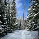 Babbish Gulch, Colorado - 332 Reviews, Map | AllTrails