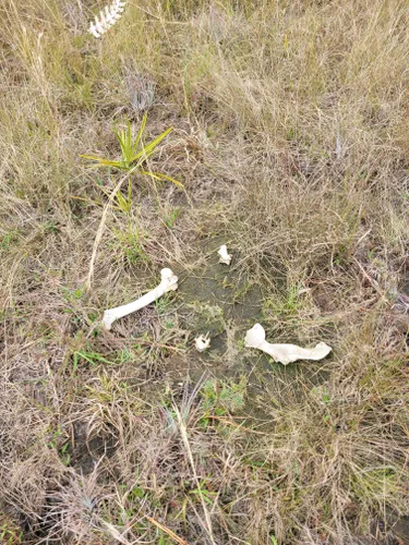 babcock ranch bike trails