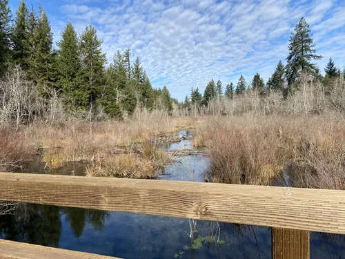 Best Lake Trails in Ravensdale | AllTrails