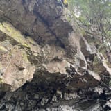 Mount Washington Trail Washington - EyJidWNrZXQiOiJhc3NldHMuYWxsdHJhaWxzLmNvbSIsImtleSI6InVwbG9hZHMvcGhvdG8vaW1hZ2UvNzA1Mzk1NjQvOTgxN2NhNzE3YzBiYTE3OTY5ODE3OTBmMjkyOTdiZDcuanBnIiwiZWRpdHMiOnsidG9Gb3JtYXQiOiJqcGVnIiwicmVzaXplIjp7IndpZHRoIjoxNjAsImhlaWdodCI6MTYwLCJmaXQiOiJjb3ZlciJ9LCJyb3RhdGUiOm51bGwsImpwZWciOnsidHJlbGxpc1F1YW50aXNhdGlvbiI6dHJ1ZSwib3ZlcnNob290RGVyaW5naW5nIjp0cnVlLCJvcHRpbWlzZVNjYW5zIjp0cnVlLCJxdWFudGlzYXRpb25UYWJsZSI6M319fQ==