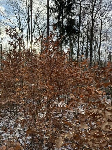 Wanderung in der Dübener Heide