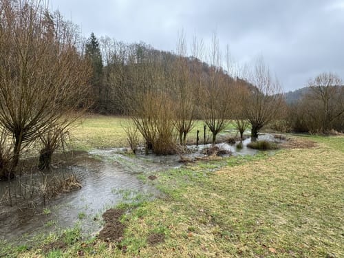Thuisbrunn - Egloffstein Runde