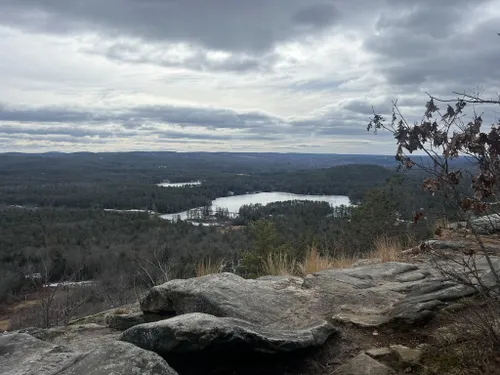 Best Hikes and Trails in Tully Mountain Wildlife Management Area ...