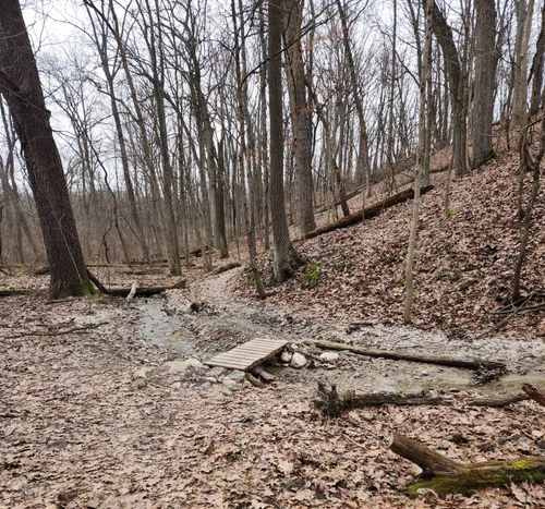 Bloomer mountain best sale bike trail