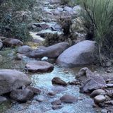 Second Water And Hackberry Spring Loop, Arizona - 1,935 Reviews, Map 