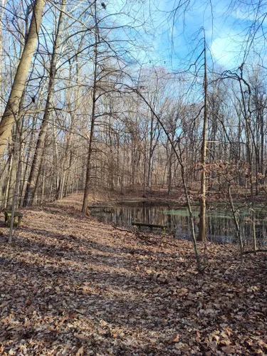 Best Hikes and Trails in Asherwood Nature Preserve | AllTrails