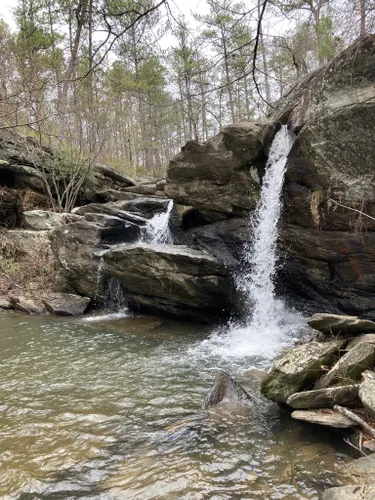 Best Easy Trails In Talladega National Forest Alltrails