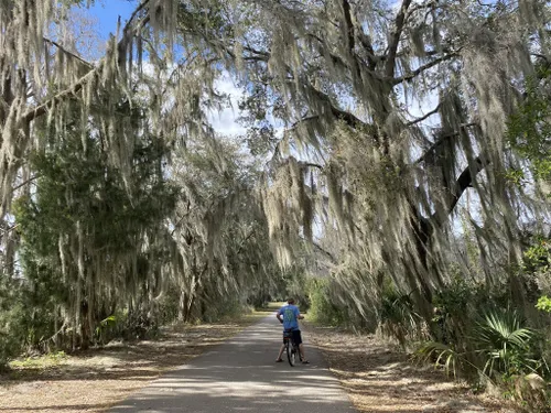 Best Road Biking Trails in Dunnellon | AllTrails