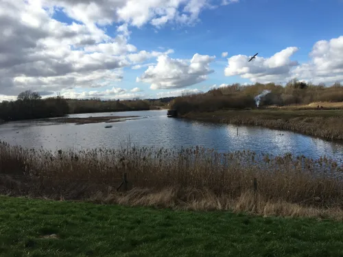 Best Hikes and Trails in Sandwell Valley Country Park | AllTrails