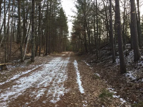 Best Hikes and Trails in Minocqua | AllTrails