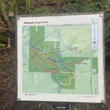 Whipple Creek Park Loop Trail, Washington - 1,683 Reviews, Map | AllTrails