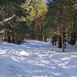 Bassi Falls, California - 2,945 Reviews, Map | AllTrails