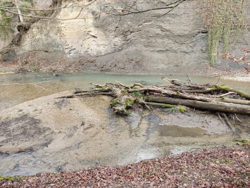 Rund um Schlatt und Jungingen