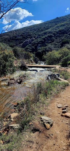 Photos of Ted Williams Mountain Bike Trail California AllTrails