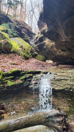 Photos of Hemlock Cliffs National Scenic Trail Indiana AllTrails