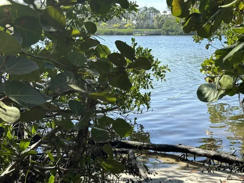 Best Hikes and Trails in Lemon Bay Preserve | AllTrails