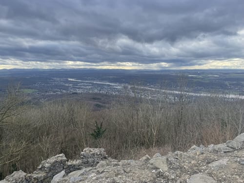 Traumhafte Siebengebirgsrunde mit Löwenburg und Drachenfels