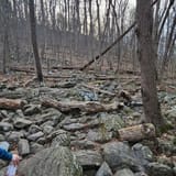 Raven Rocks via Appalachian Trail, Virginia - 5,759 Reviews, Map ...