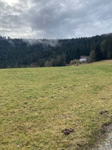 Von Schramberg zum Elisabethenfelsen