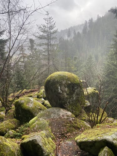 Von Schramberg zum Elisabethenfelsen