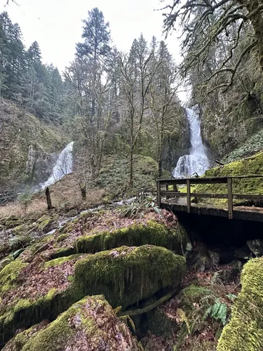 Best hikes in outlet siuslaw national forest