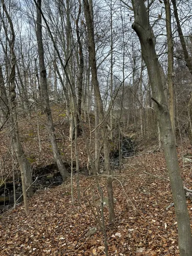 Best Hikes and Trails in Farmington Canal State Park Trail AllTrails