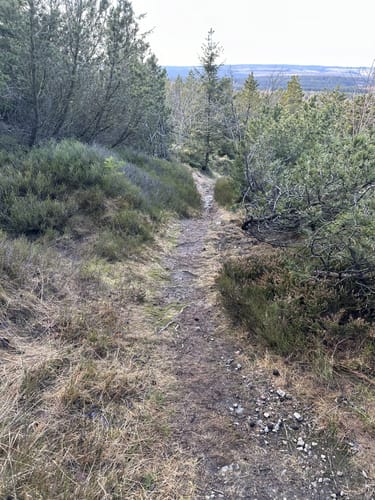 Kahleberg-Runde über Evasteig