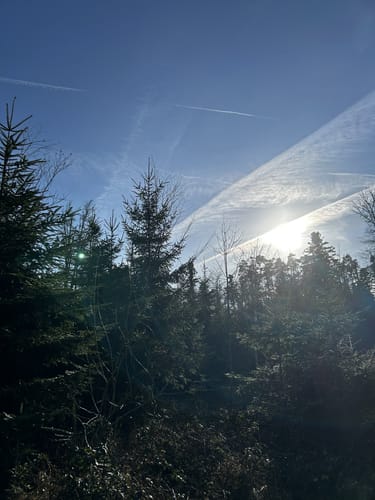 Trimm Dich Pfad Immenstaad
