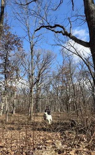 Best Hikes and Trails in Hickory Creek Preserve | AllTrails