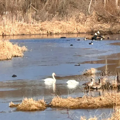 Best Hikes and Trails in Kendallville AllTrails