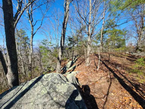 House Mountain State Natural Area: de beste routes om te wandelen ...