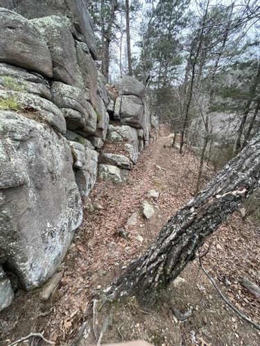 Photos of Turkey Creek Trail - Missouri