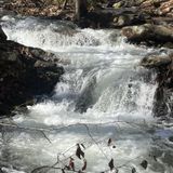 Peavine Falls via Green and White Trail Loop, Alabama - 579 Reviews ...