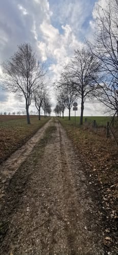 Crimmitschau Rundgang