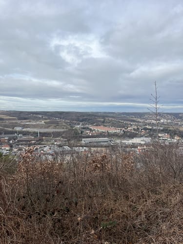 Windberg und Poisenwald Rundweg