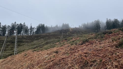 Westweg Etappe 3: Forbach - Unterstmatt