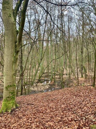 Von Siehdichum durchs Schlaubetal bis zum Wirchensee