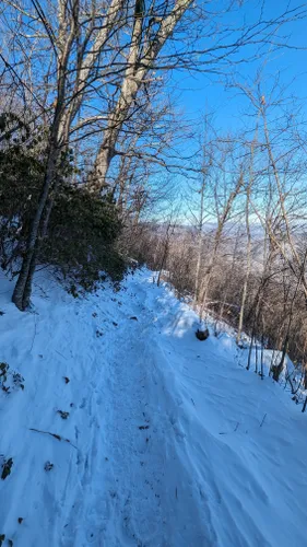 The 18 Best Winter Hikes in Virginia