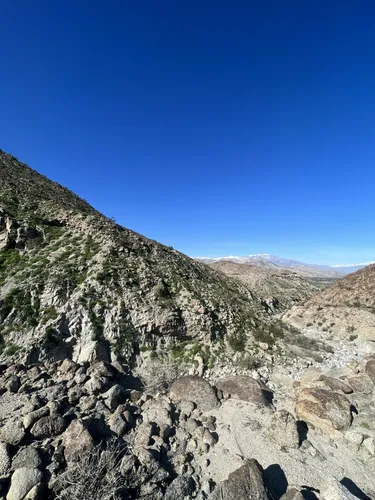 Living desert clearance hike