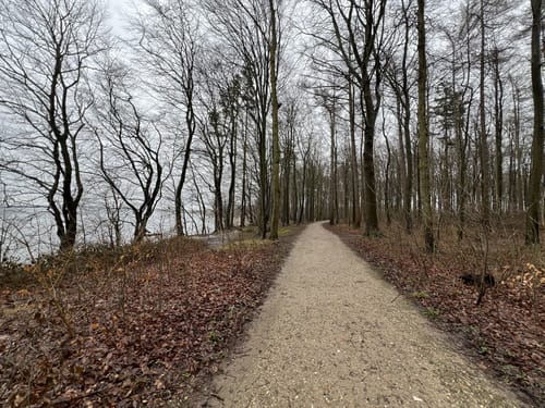 An der Steilküste Runde von Weißenhäuser Strand