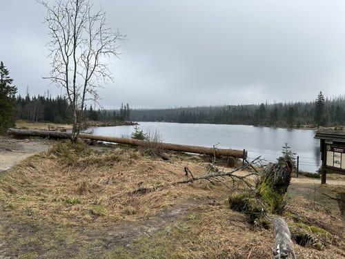 Rundwanderweg Oderteich