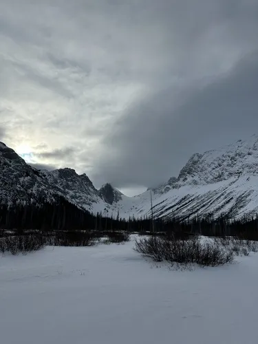 Best Hikes and Trails in Mount Shark Trailhead Provincial Recreation ...